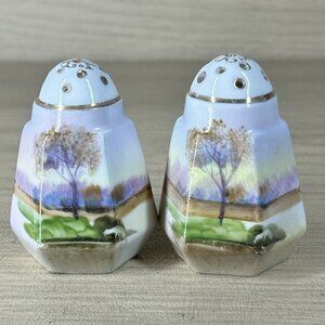 Vintage Japanese Salt and Pepper Shakers Floral Trees Japan